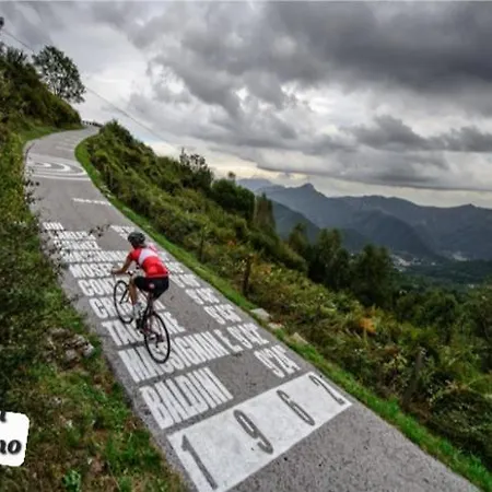 Luminoso Tra I Rami Del Di Como, *