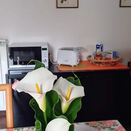 Luminoso Tra I Rami Del Di Como, Sormano