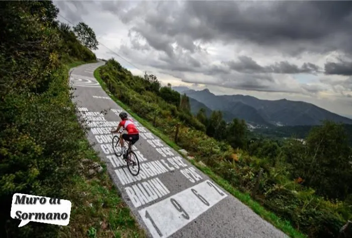 Luminoso Tra I Rami Del Di Como, *