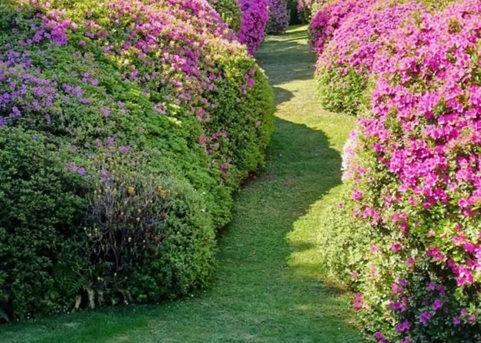 Luminoso Tra I Rami Del Di Como, Appartamento *