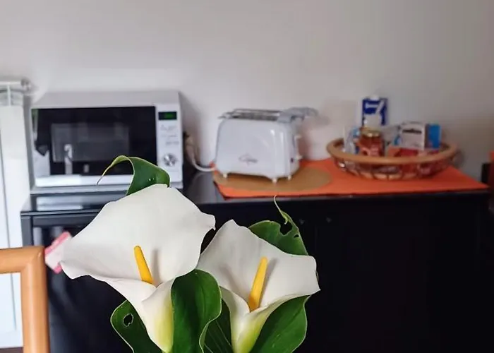 Luminoso Tra I Rami Del Di Como, Sormano